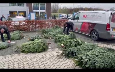 Kerstbomen brandvertragend impregneren